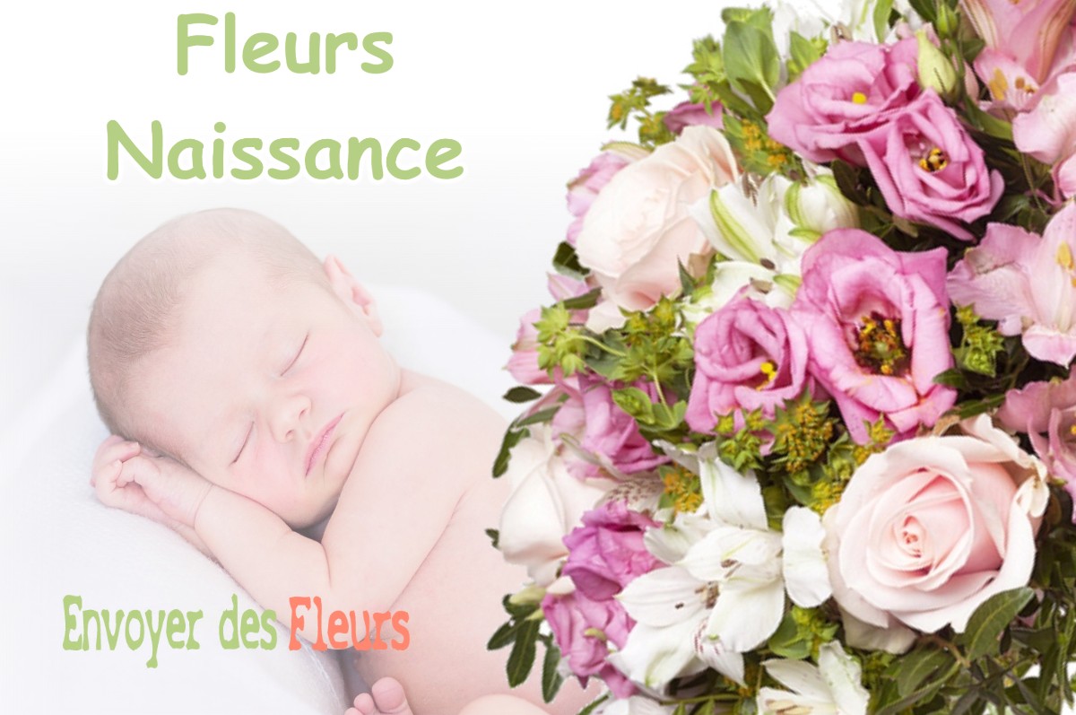 lIVRAISON FLEURS NAISSANCE à AGNIN